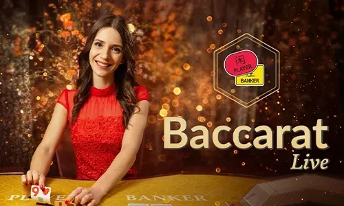 Secure Online Casino Platform